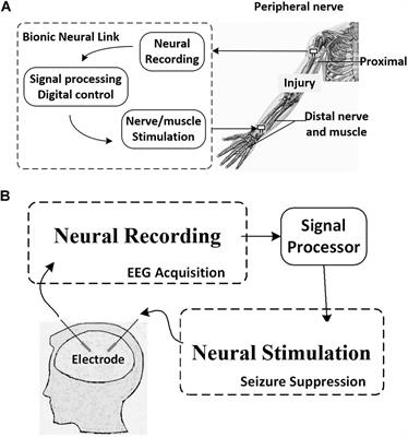 Advances in Neural Recording and Stimulation Integrated Circuits